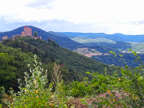 Annweiler, Trifels, Anebos und Münz Juli 2020